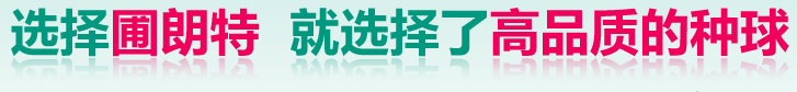 圃朗特园艺