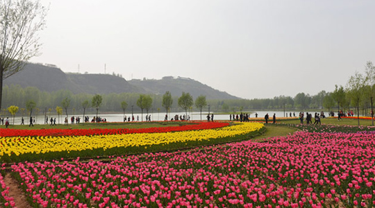 三门峡公园-圃朗特客户案例