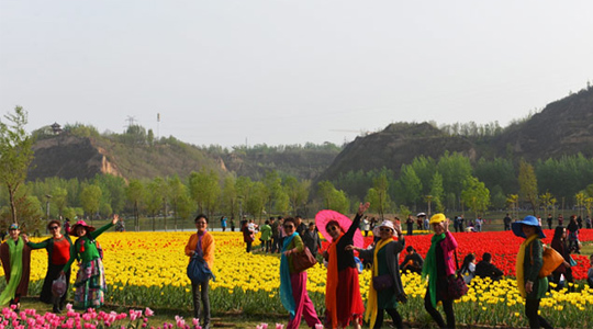 三门峡公园-圃朗特客户案例