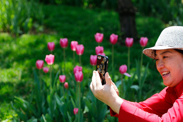 赏花的游客拍照