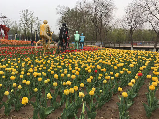 送什么花比较适合