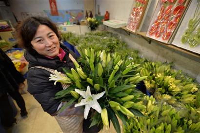 岛城冬日绿意盎然百花争艳