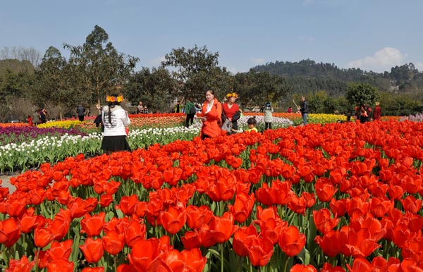 第五届花舞人间郁金香节开幕